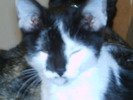 IMAG0038