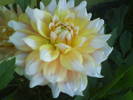 DSC00547
