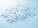 shutterstock_7527115