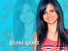 Selena-selena-gomez-1115270_800_600