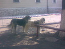 Imag047