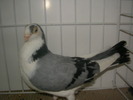 SANY0116