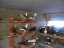 FILE0192