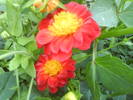 DSC00510