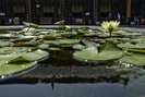 Great Mosque in Xian - China (pool)