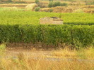 DSCN1659