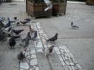 DSCN0156