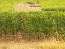 DSCN1662