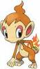 chimchar