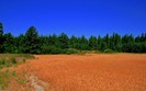 Planet Scenes 205