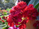 P1010357