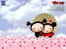 pucca