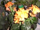 aug 2008 035
