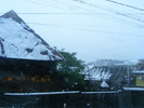 DSCF7318