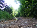 DSCF4907