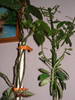 DSC09311