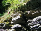 DSCF5223