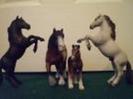 set schleich