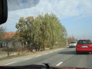 Picture 070
