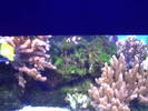 PICT0103
