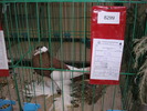 P1010175