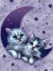 Cats_Moon