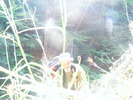 DSCF5349