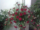 Imag030