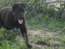poze 06.06.2009 019
