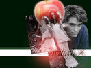 Twilight-Wallpapers-twilight-series-772959_1024_768