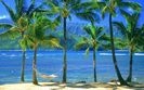 An-Empty-Hammock-Kauai-Hawaii