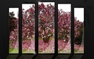 Crystal_nature