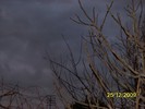 100_7954