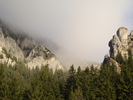 DSC04595