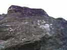 PICT0091