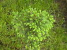 IMGA0461