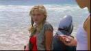 cariba-heine_223