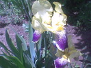 Imag005