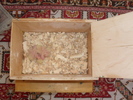 SDC11573