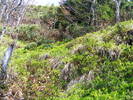DSCF0264