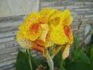 images[9]