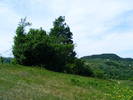 DSCF0548