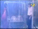 13-4flv014_0004
