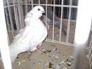 DSC07858