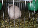 P8161788