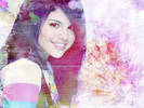 Selena-Wallpapers-selena-gomez-3417886-800-600