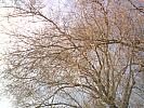 DSC00007