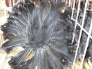 DSCN0217