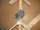 DSCN0449