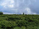 DSCF3140